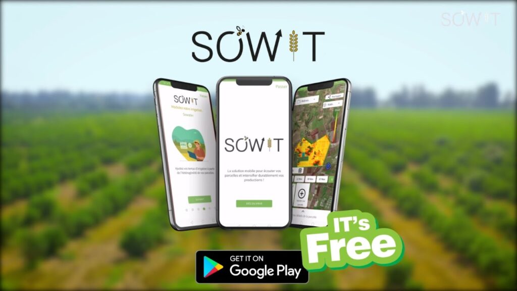 🌾 Sowit : l’intelligence agricole née d’Afrique